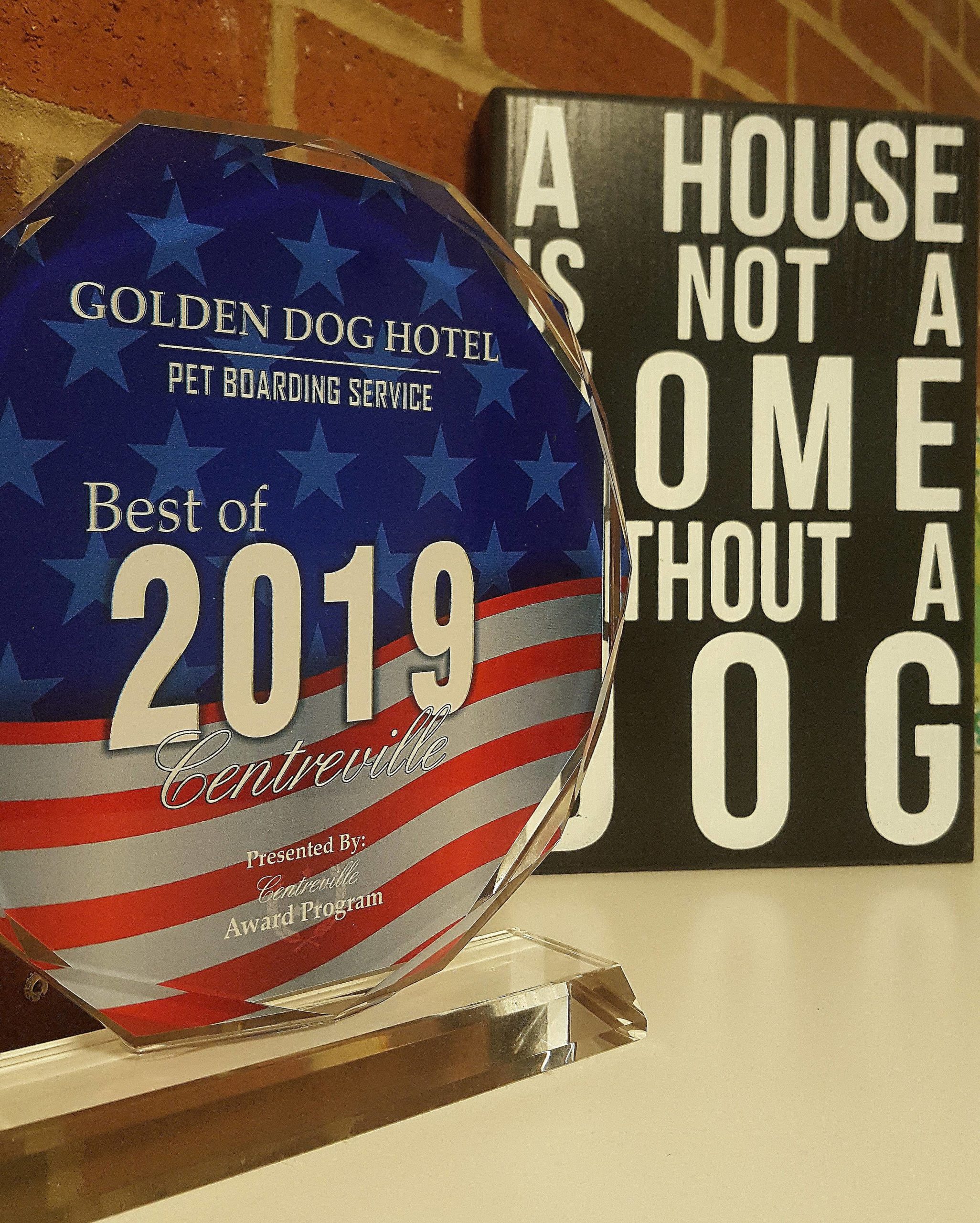 Golden Dog Hotel 2019 Award